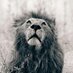 juan carlos mendez (@urshua) Twitter profile photo