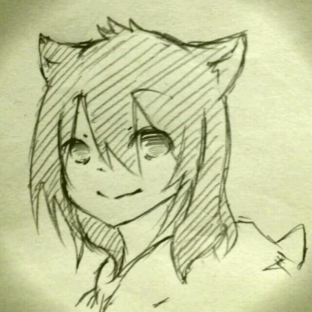 三毛猫@本垢さんのプロフィール画像