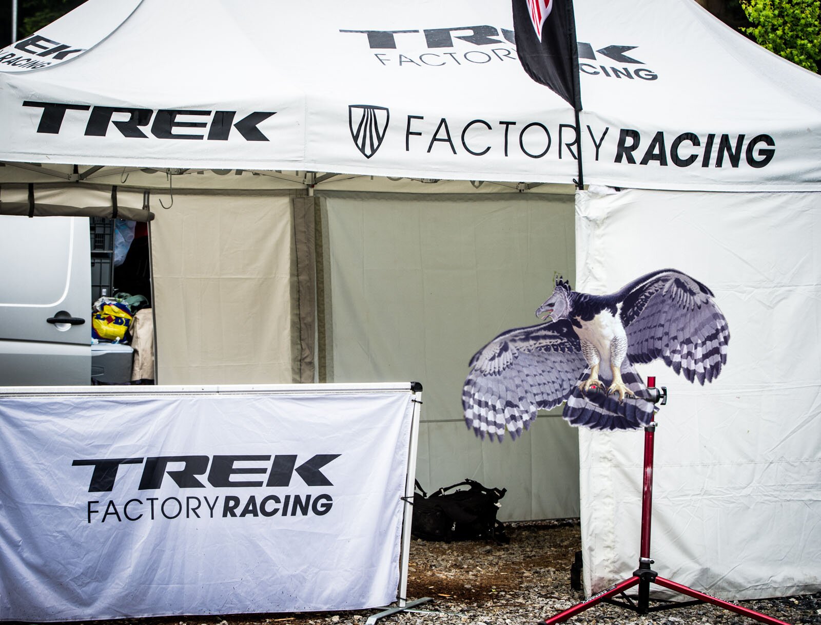 tfrgregor's profile picture. Trek Factory Racing MTB's resident Harpy Eagle. I am mascot, friend, and protector. Bad to the bone. I am all things magnificent.