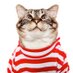The Ugly Sweater (@uglysweaterprod) Twitter profile photo
