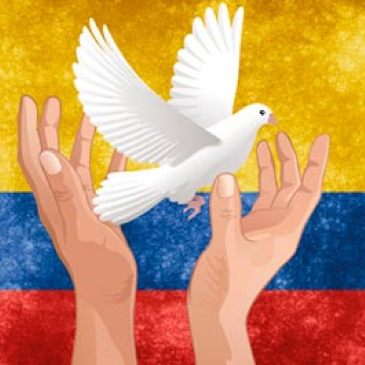 Por un país digno, por desarrollo social, político y económico, por una sociedad civil tranquila y en paz y por una mejor Colombia, NO MÁS FARC