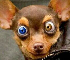 TheReal_Vidalis's profile picture. *live the life you love&love the life you live*