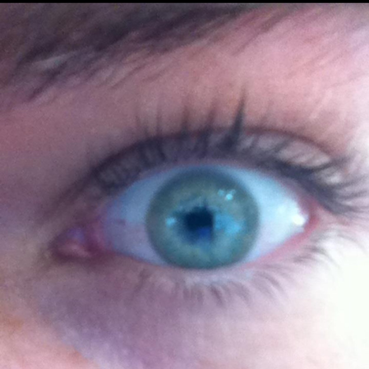 carlos llano Profile