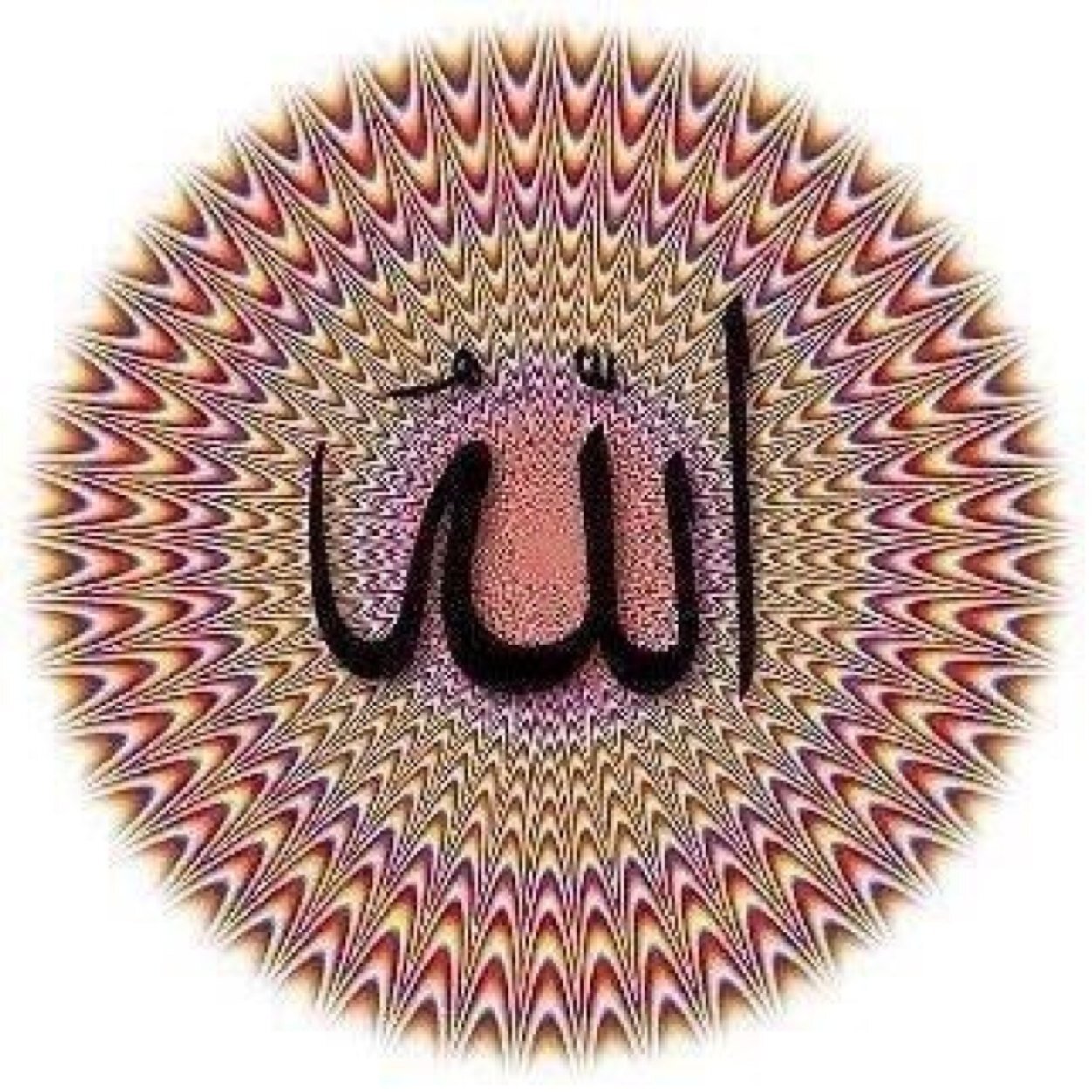 Muslim Pictures and Images! #Islam #Muslim