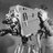 eddie_becker's profile image
