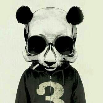 HillaryBookk's profile picture. The UnStable Horse.