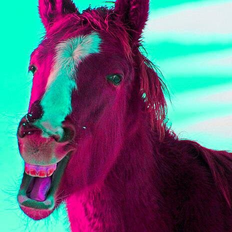 I JUST WANT TO TALK TO ALL THESE OTHER TALKING HORSES. ((PARODY RP ACCOUNT)) ((TOTALLY STUPID))