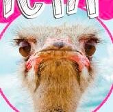 OstrichFest