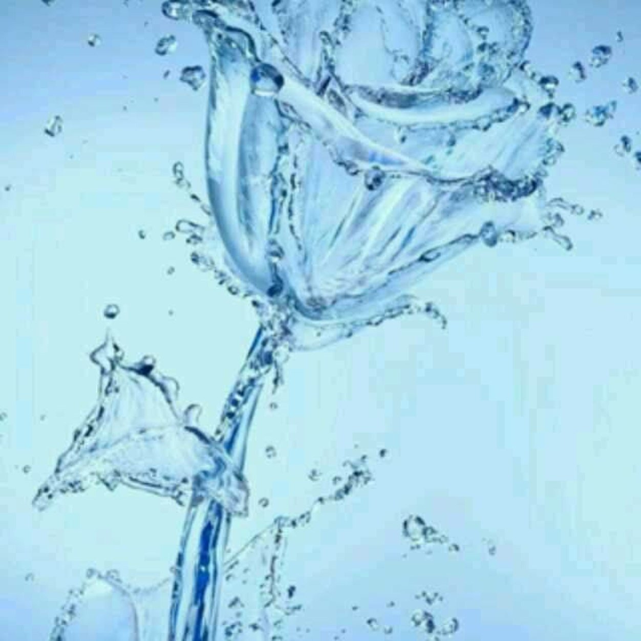 name34051000's profile picture. مقبلين ع شهر فضيل اسال الله الهدايه لي ولكم برب تويتر