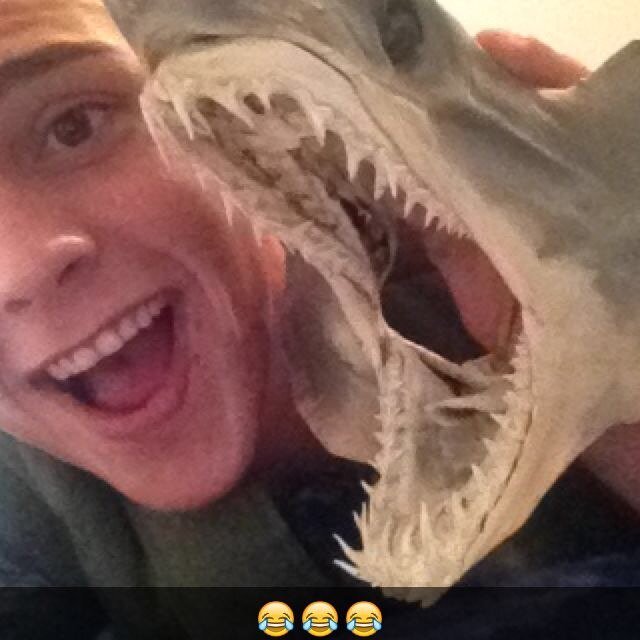 TheWellHungSon's profile picture. B Bobby B Baby all u need to know about me is i'm 21 love music,football,drinking,going out,having a laugh and basically being a div :D