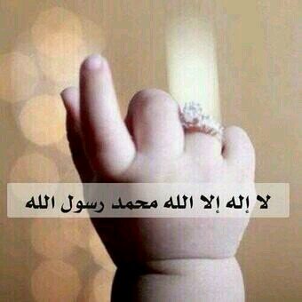 ‏‏‏‏‏‏فولومي -فولوباك   اتشرف بالجميع