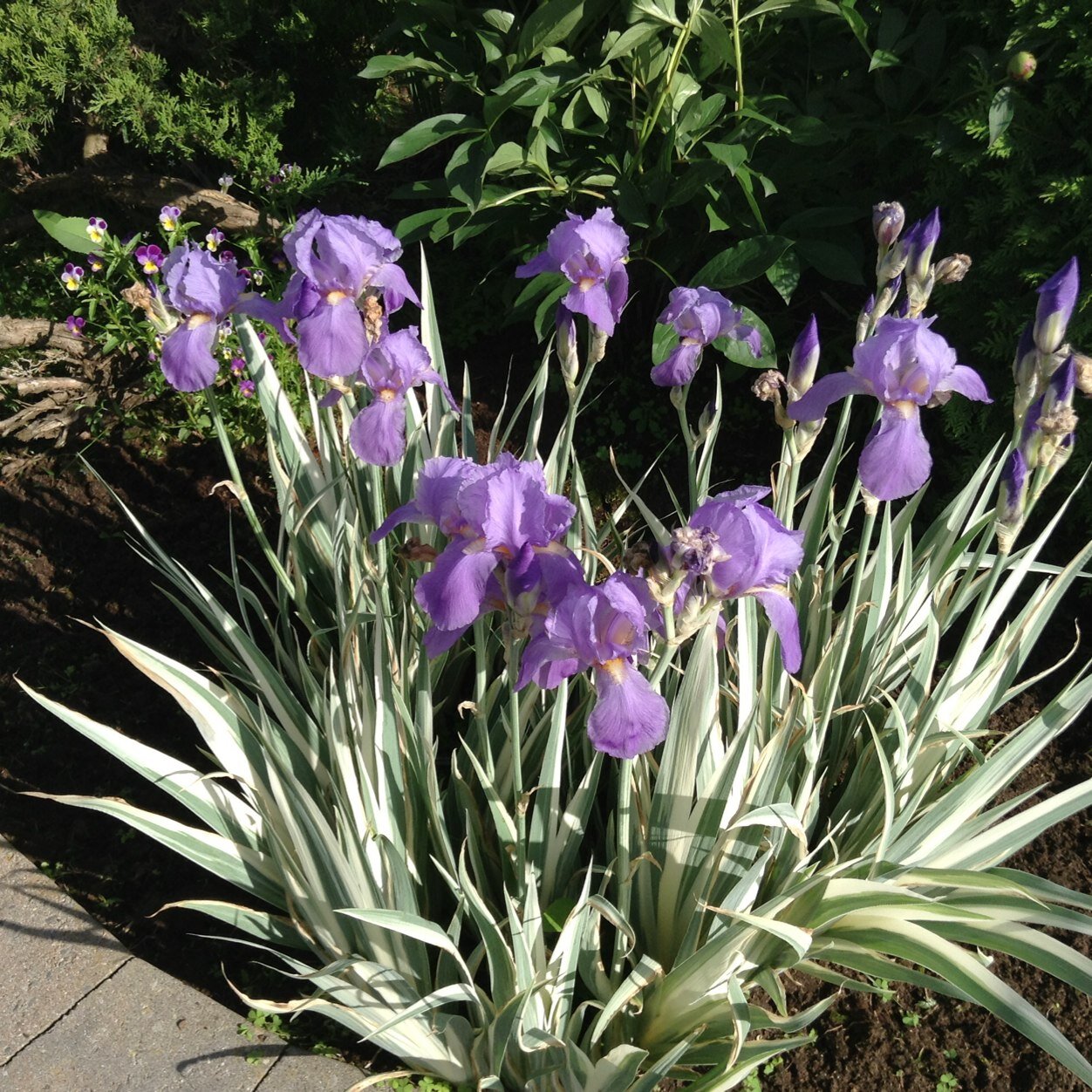 wendsar's profile picture. Diversion Counsellor, OCDSB