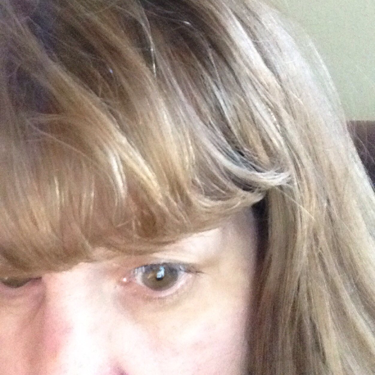 DiannPierson's profile picture. 