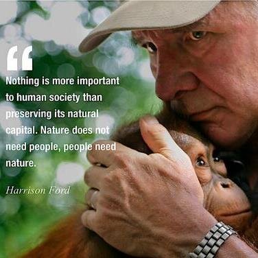 Passionate about Climate Change and the environment. Nature doesn't need people, people need Nature