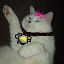 CAROL DENSON - @GLADYSPORTER - Twitter