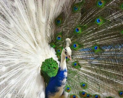 aboood2125's profile picture. 