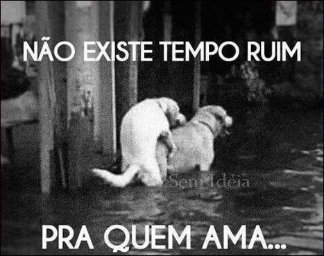 GOSTA DE PUTARIA ?    SIGA eu ...