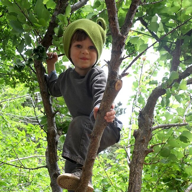 Berkeley_Forest's profile picture. Nature-immersion preschool, kindergarten, camps & family adventures. Mud huggers, tree climbers, fire builders, and puddle lovers welcome!