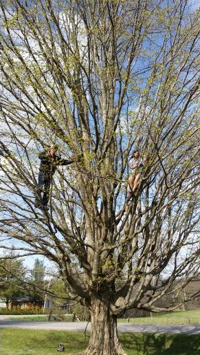 broomiejr's profile picture. 