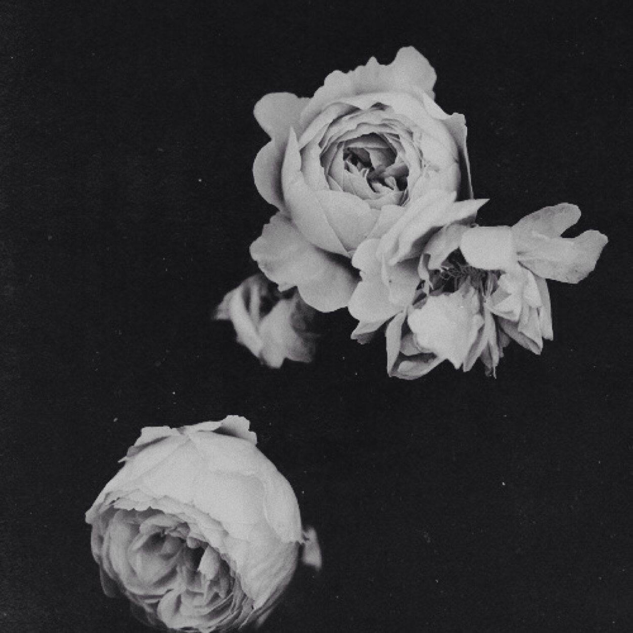 -17, female- *trigger warning-i do not encourge or recommend selfharm*