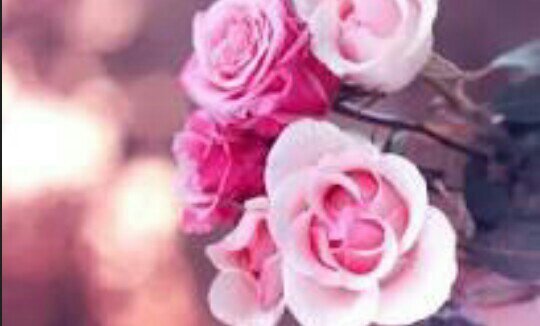 ioio_no's profile picture. ‏‏جـدي وإن نسوگ بأنشغال دنياهم فإن لك حفيده تدعوا لك ، رحمك الله ،صدقه جاريه لجدي