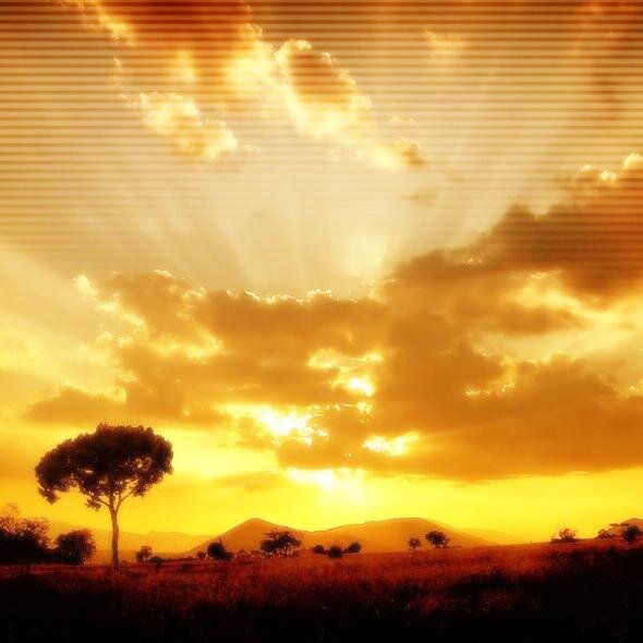 santritauhid's profile picture. 