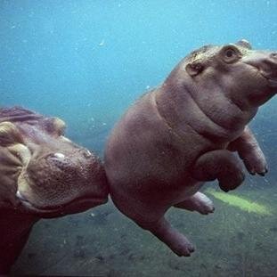 uml_lmu's profile picture. bla