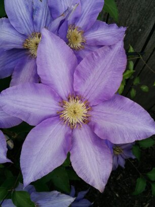 refashion_team's profile picture. From our closet to yours, the re-fashioned brand! Follow us on instagram @communityclosetclothing and like us on Facebook! communityclosetclothing@gmail.com