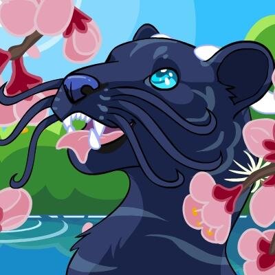 MewDragonさんのプロフィール画像