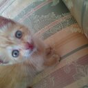 Victor core - @05_sk8tecore - Twitter