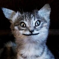 Crappy Taxidermy (@crappytaxidermy) Twitter profile photo