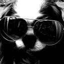 trk (@0s8a7trk) Twitter