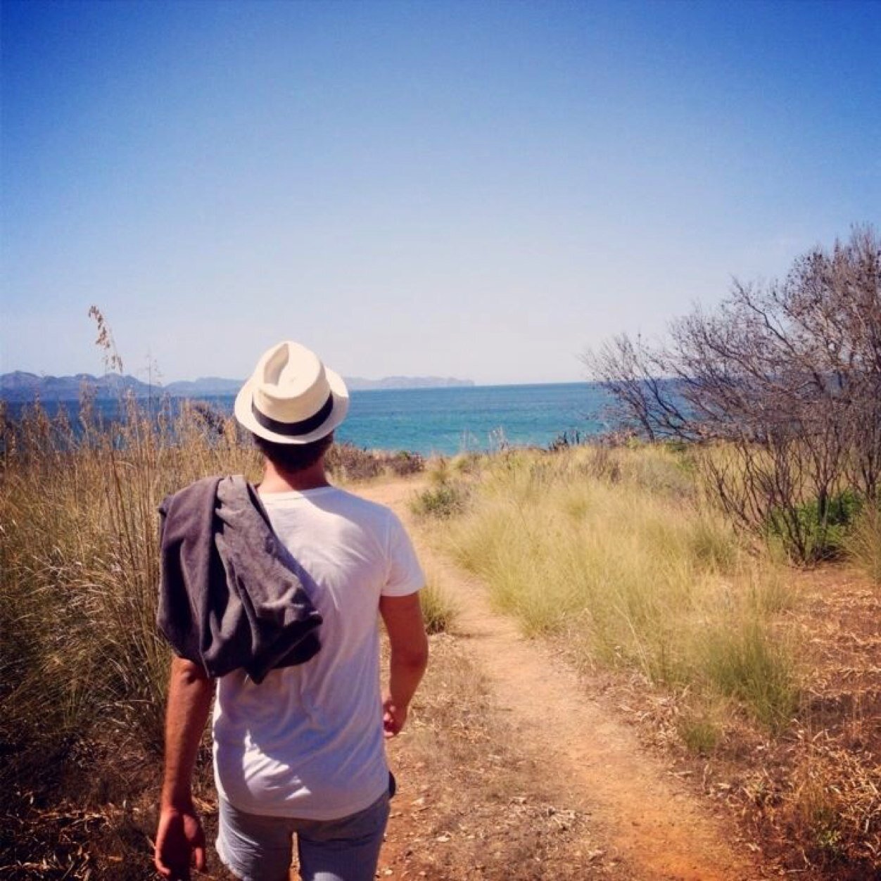 pedrodem's profile picture. I'd like to be under the sea in an octopus' garden in the shade