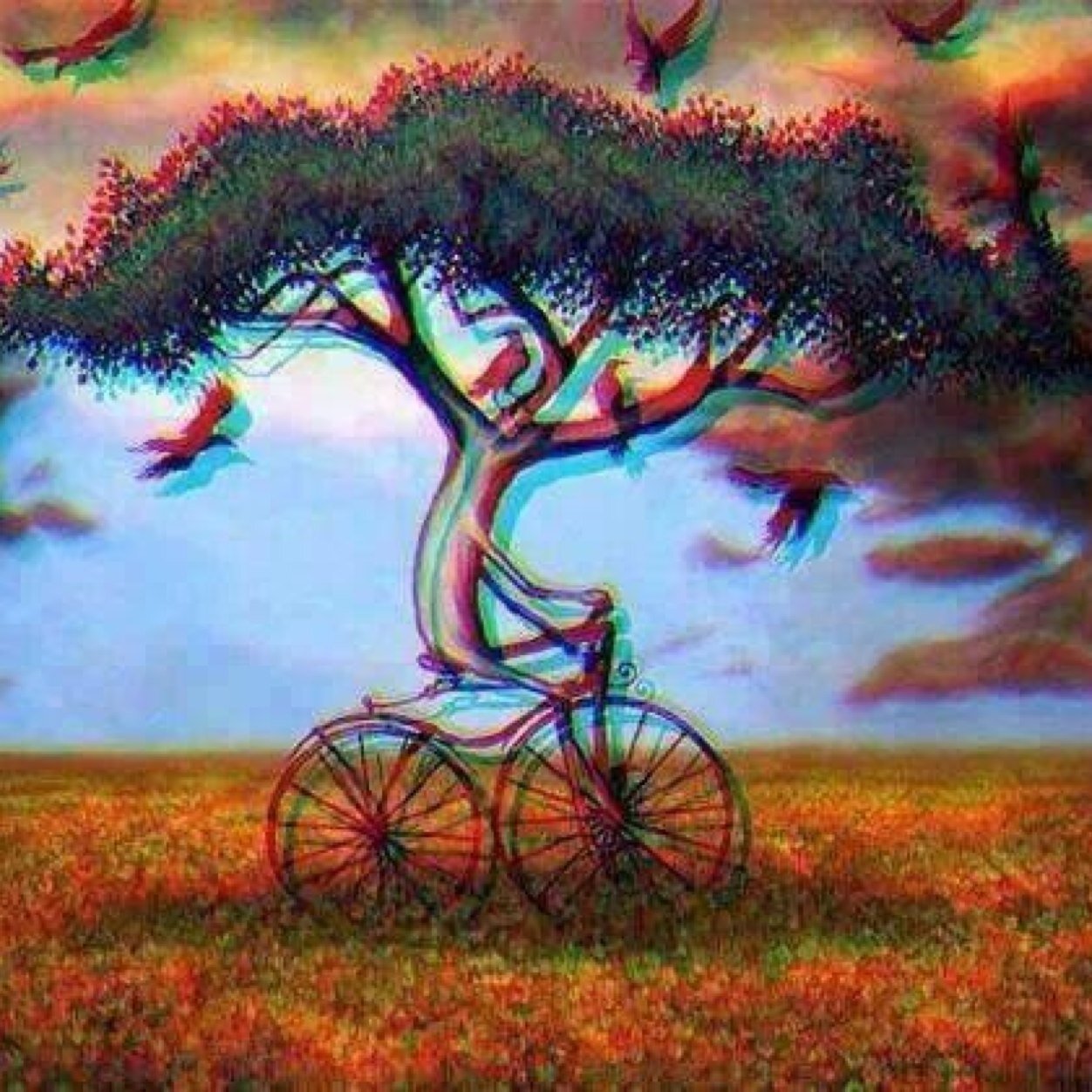 Acid and Trees