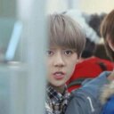 삐약 (@5959xoxo) Twitter