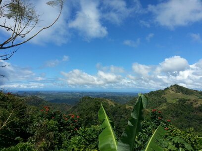 yari1125pr's profile picture. 