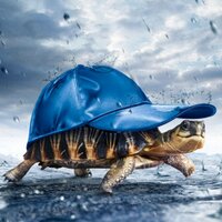 Merwin Roger (@merwinroger) 's Twitter Profile