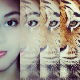 Estudio Ing.Civil | Soy algre | Me encanta las Banda & Los corridos