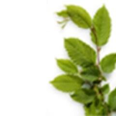 Initiative Gesunde Gemeinde.Neuigkeiten zum Thema Gesundheit, Arbeitskreis, Gesundheitsforum Reutlingen, Eningen und mehr. Getwittert von http://t.co/EgmIwEO7sr
