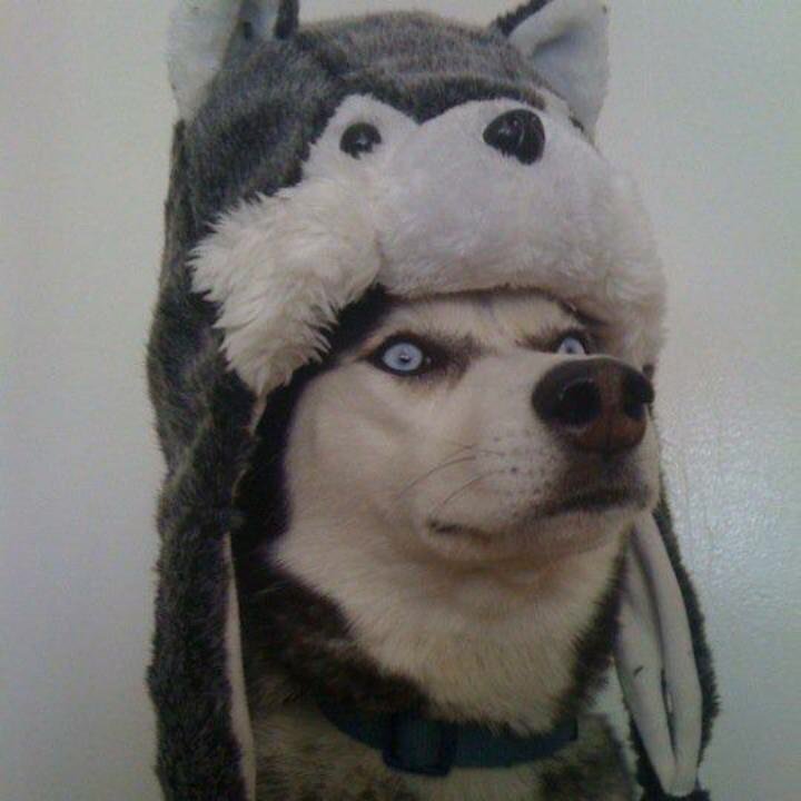 swanj69's profile picture. 