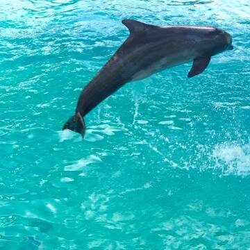 液体タイプのマルチミネラルサプリメントです。⇒ http://t.co/Q3rVNkZ6Ba