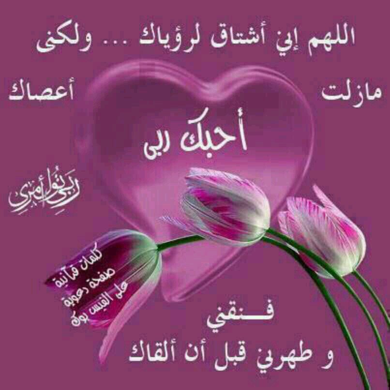 سعوديه والفخر ليااا