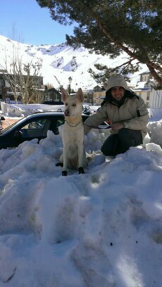 opositor y apasionado de los coches