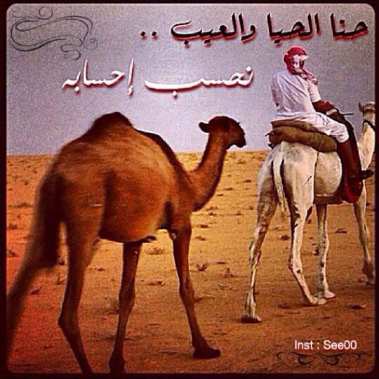 يستهويني ابداع الشعر الغزلي واجمل الخواطر الشاعريه وهنا انقل لكم كل مايبوح به قلمي ✒ ❤الكويت ........... يسرني متابعتكم ☺️⭐️