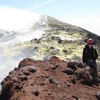 Rebecca Carey (@drrebeccac) 's Twitter Profile