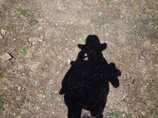 IsabOneill's profile picture. Journaliste au vert...en reconversion agricole dans le #Quercy
insta @safranfrancette