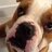 Bruno_Entite's profile image