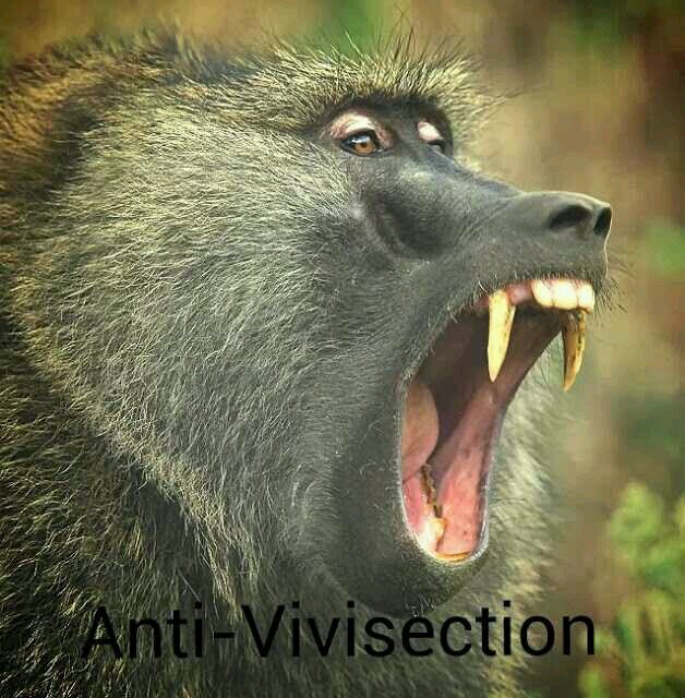 veggo76's profile picture. i like reading