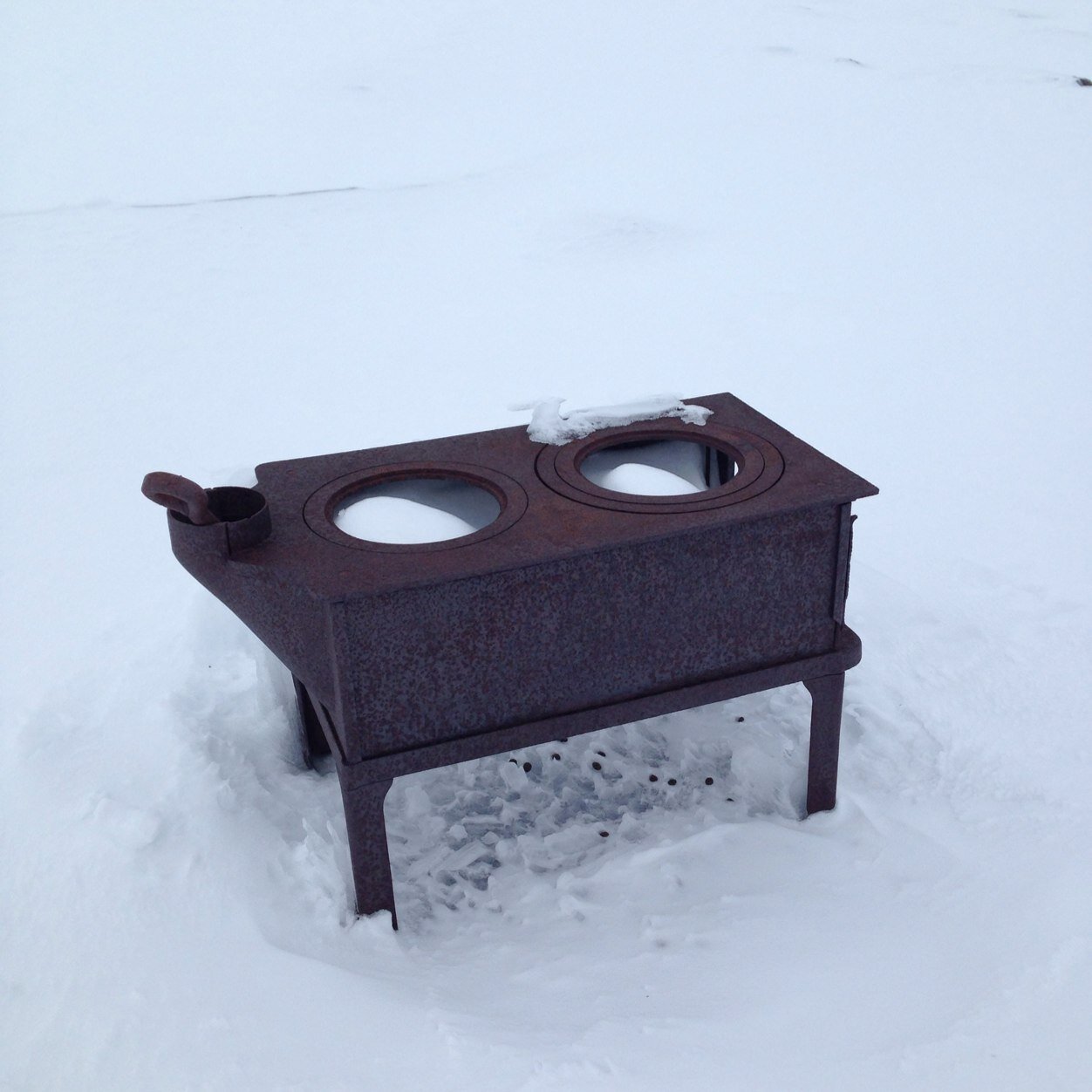 fillefisch's profile picture. 