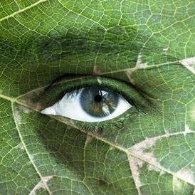 chloroearth's profile picture. Bioneer, Climate Economist, Green Technologist, Green Builder, Industrial Ecologist, Agronomist,sometimes a Farmer. http://t.co/ZwtgnoE5I9...